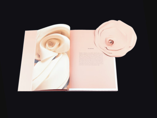 Il catalogo ValentinA, della maison Valentino, è stato stampato in pentacromia con copertina in cartonato ed è contenuto in una scatola marmotta rivestita internamente ed esternamente in carta. Il fiore fustellato è tratto dalla medesima carta impiegata per il catalogo.